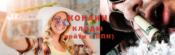 дживик Касимов