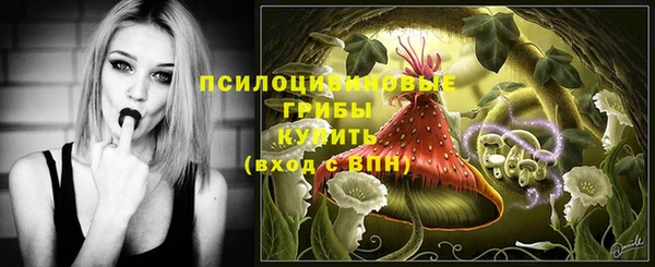 амф Карталы