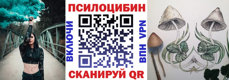 Купить где  Тайга  Галлюциногенные грибы Cubensis 